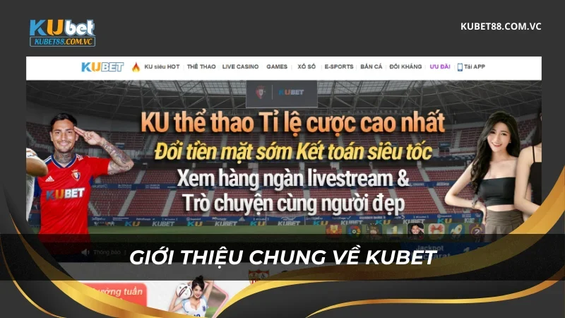 Trải Nghiệm Cực Đỉnh Cùng Ku Bet - Không Chỉ Là Một Nền Tảng Cá Cược